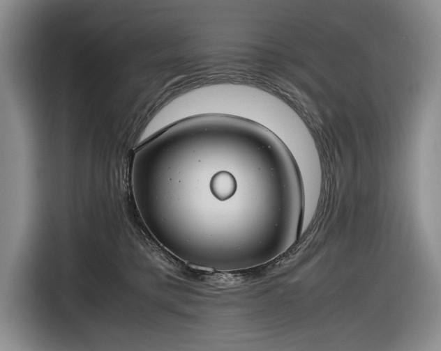 X0000116660421200912211511