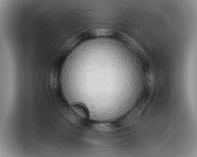 X0000116660422200912211511