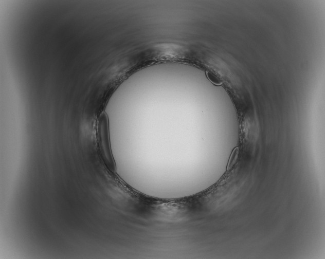 X0000116660423200912211511