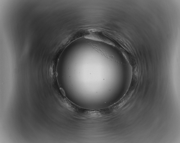 X0000116660424200912211511