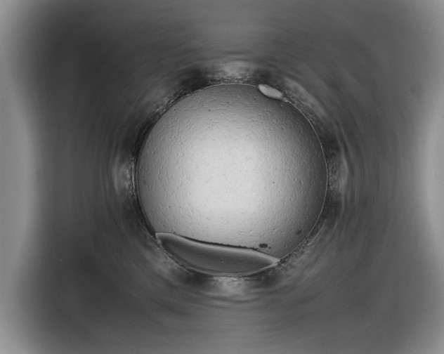 X0000116660425200912211511