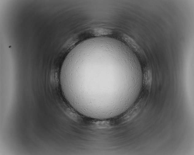 X0000116660426200912211511