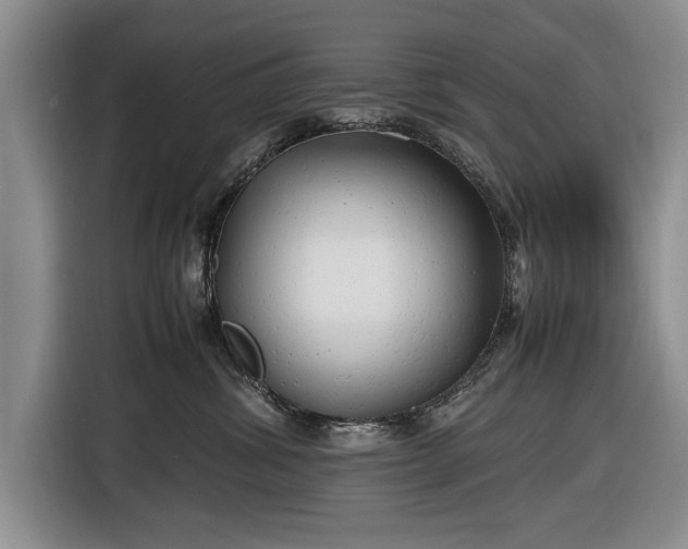 X0000116660428200912211511