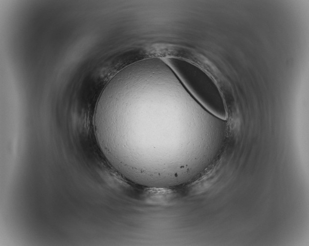 X0000116660429200912211511