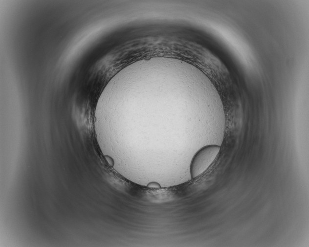 X0000116660431200912211511