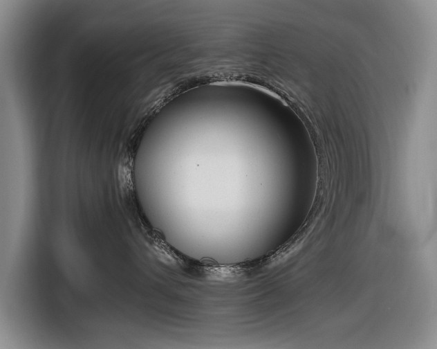 X0000116660432200912211511