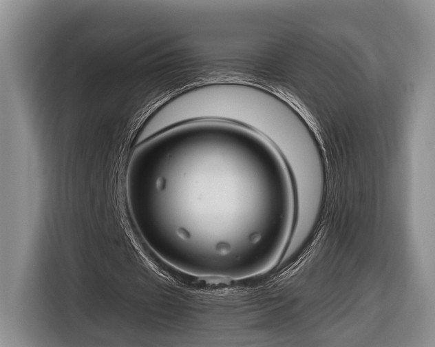 X0000116660433200912211510