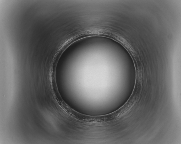 X0000116660434200912211510