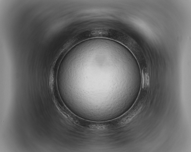 X0000116660435200912211510