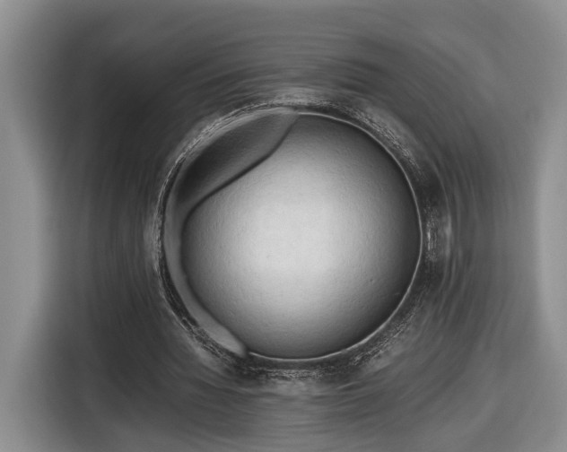 X0000116660436200912211510