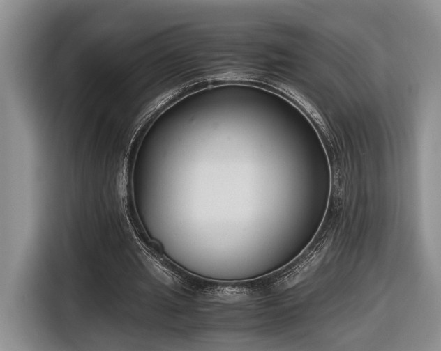 X0000116660437200912211510