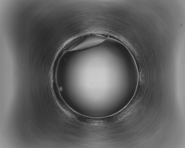 X0000116660438200912211510