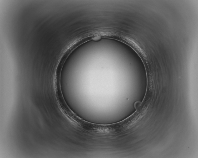 X0000116660439200912211510