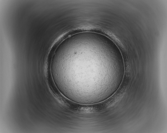 X0000116660440200912211510