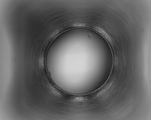 X0000116660441200912211510