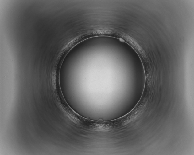 X0000116660442200912211510