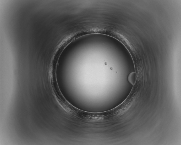 X0000116660443200912211510