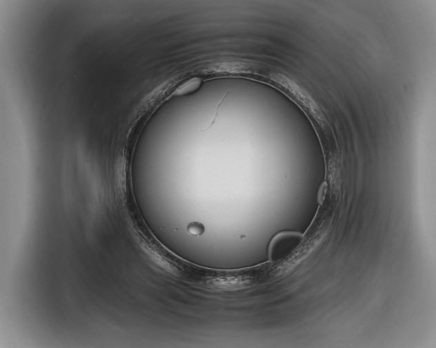 X0000116660445200912211510