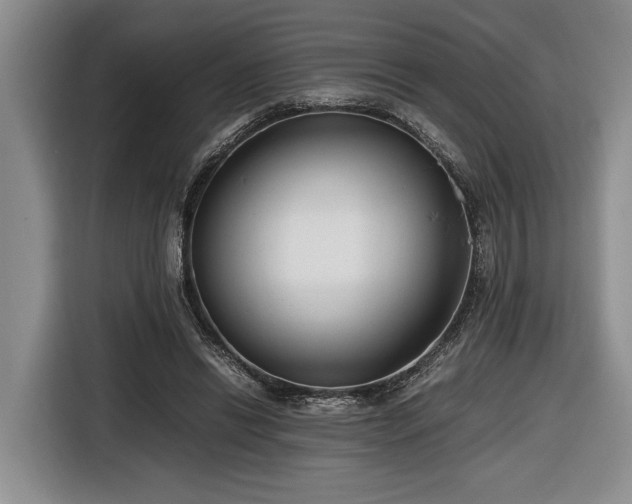 X0000116660446200912211510