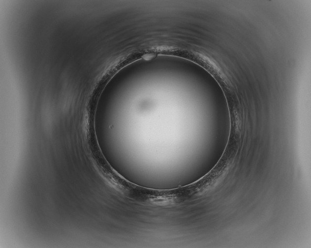 X0000116660447200912211510