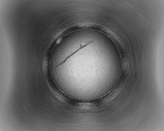 X0000116660448200912211510