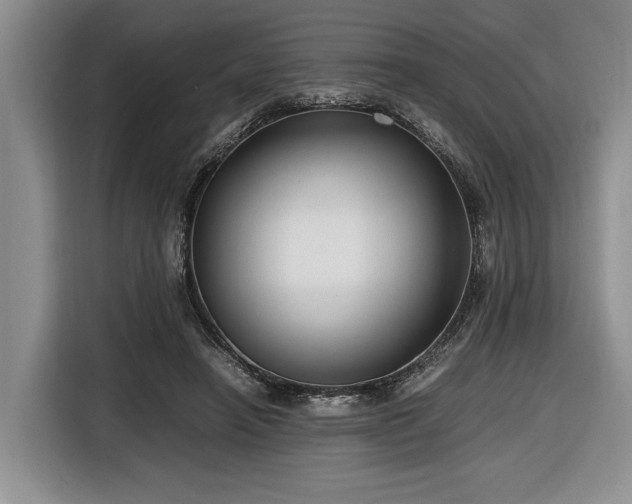 X0000116660450200912211510