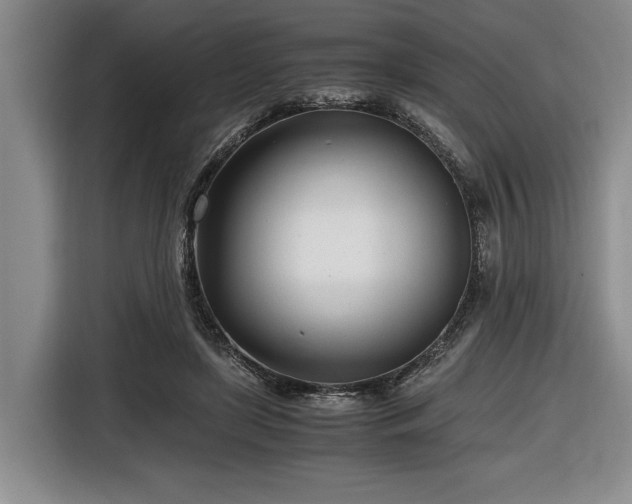 X0000116660451200912211510