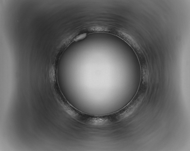 X0000116660453200912211510