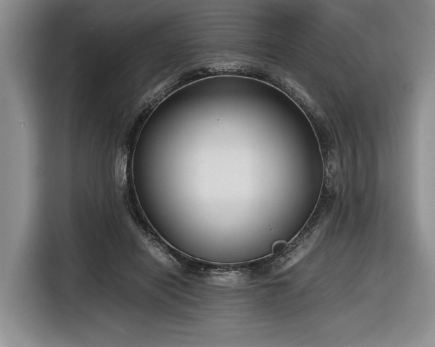 X0000116660454200912211510