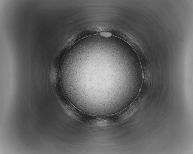 X0000116660456200912211510