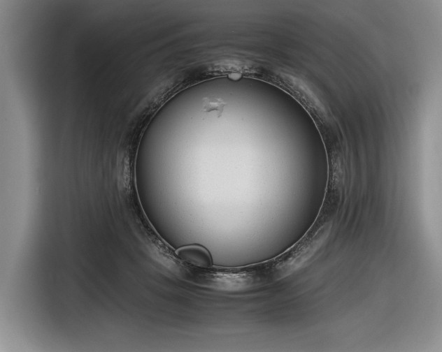 X0000116660457200912211510