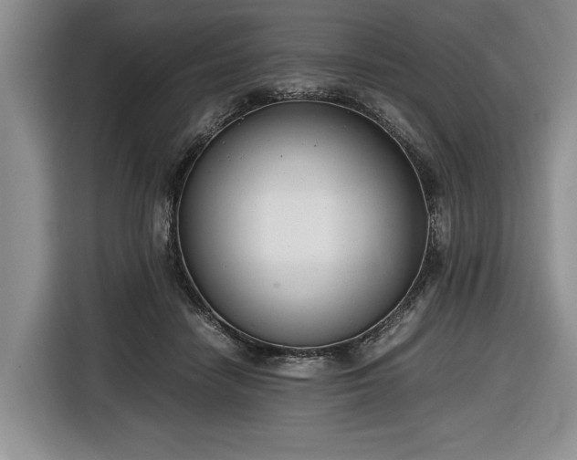 X0000116660458200912211510