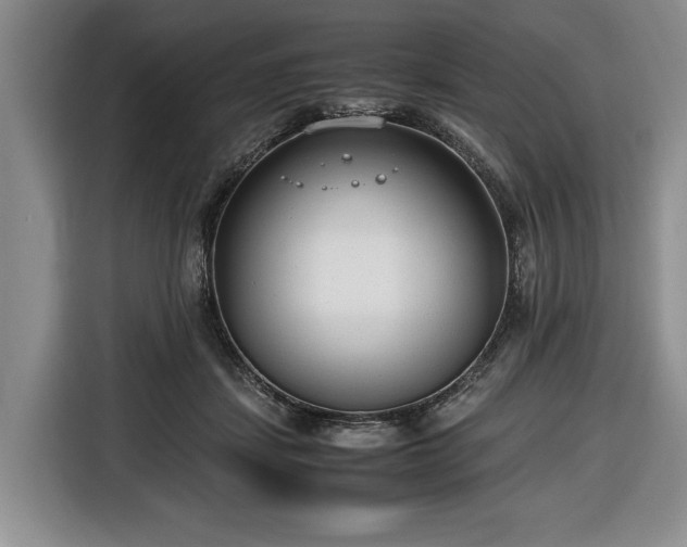 X0000116660459200912211510