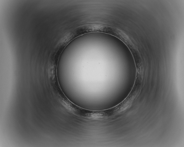 X0000116660462200912211511