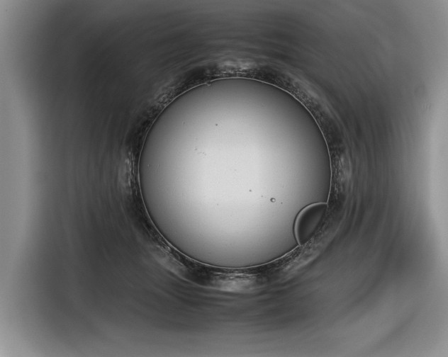 X0000116660463200912211511