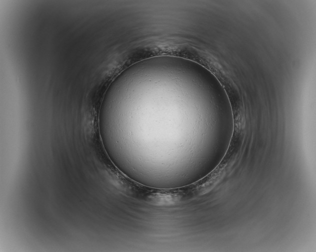 X0000116660464200912211511