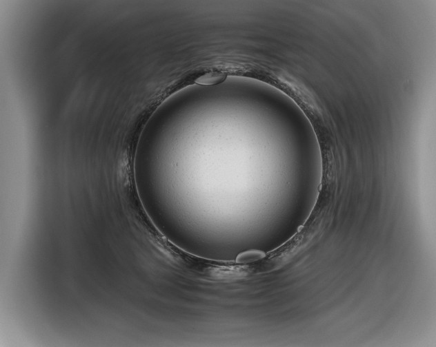 X0000116660465200912211511