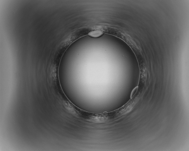 X0000116660466200912211511