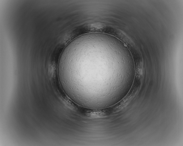 X0000116660468200912211511