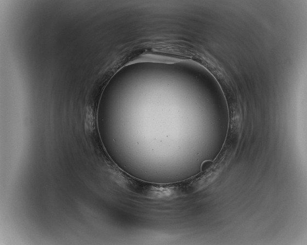 X0000116660469200912211511