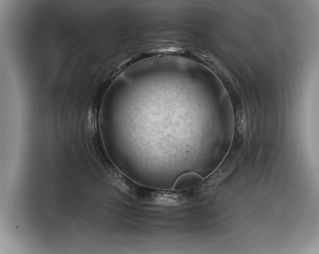 X0000116660471200912211511