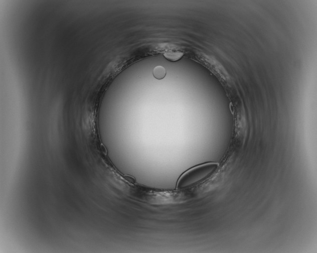 X0000116660473200912211511