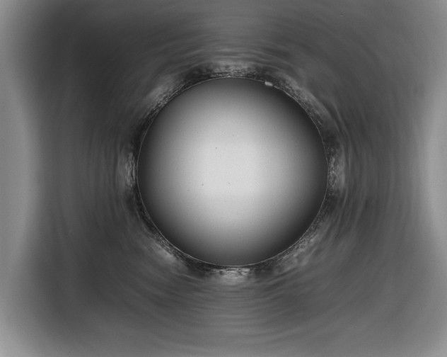 X0000116660474200912211511