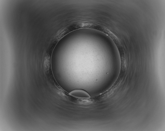 X0000116660475200912211511