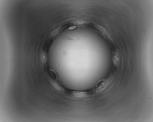 X0000116660476200912211511