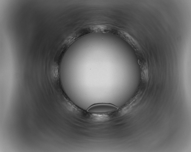 X0000116660477200912211511