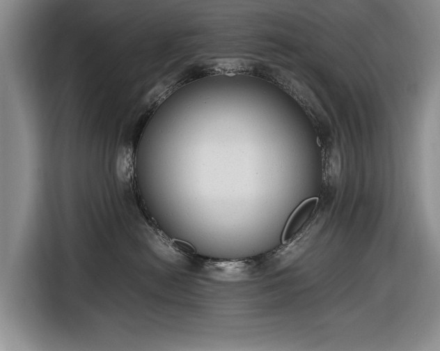 X0000116660478200912211511