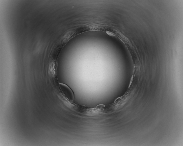 X0000116660479200912211511