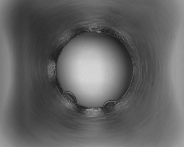 X0000116660480200912211511