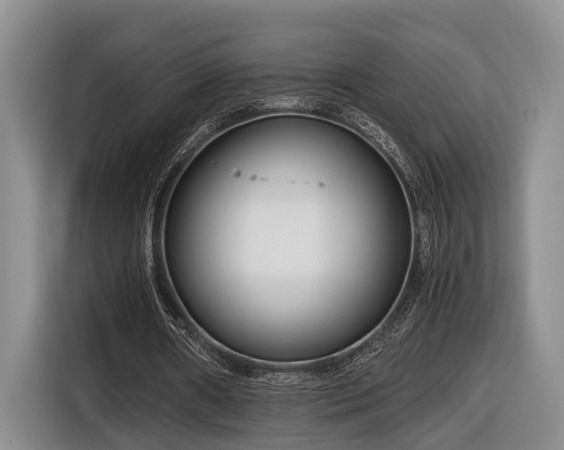 X0000116660482200912211510